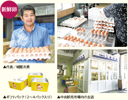 有限会社 三幸鶏卵 沖縄求人情報ルーキーweb 有限会社 三幸鶏卵 沖縄求人情報ルーキーweb