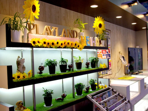 松栄観光 株式会社 沖縄支社 沖縄求人情報ルーキーweb 松栄観光 株式会社 沖縄支社 沖縄求人情報ルーキーweb