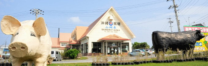 株式会社 沖縄黒糖 メイン画像-1