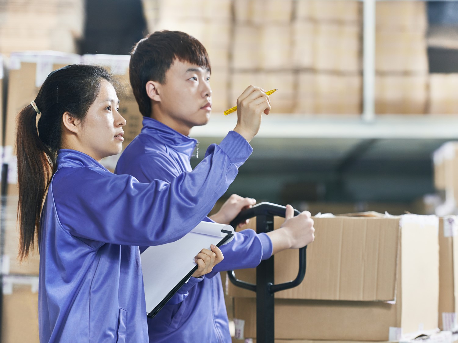 有限会社アカミネ メイン画像-1