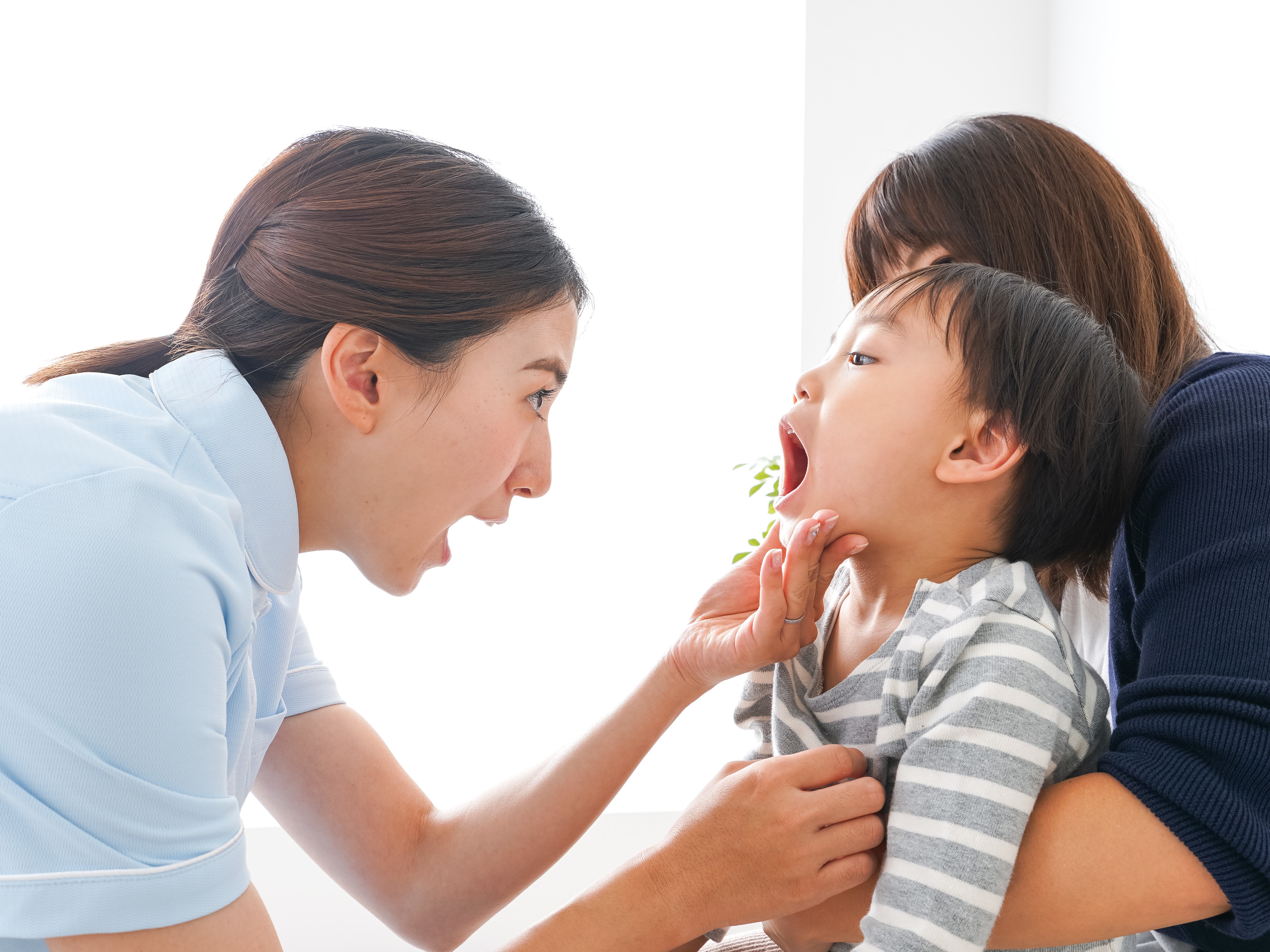 企画補助(未経験者可!) | ホワイト企画の求人