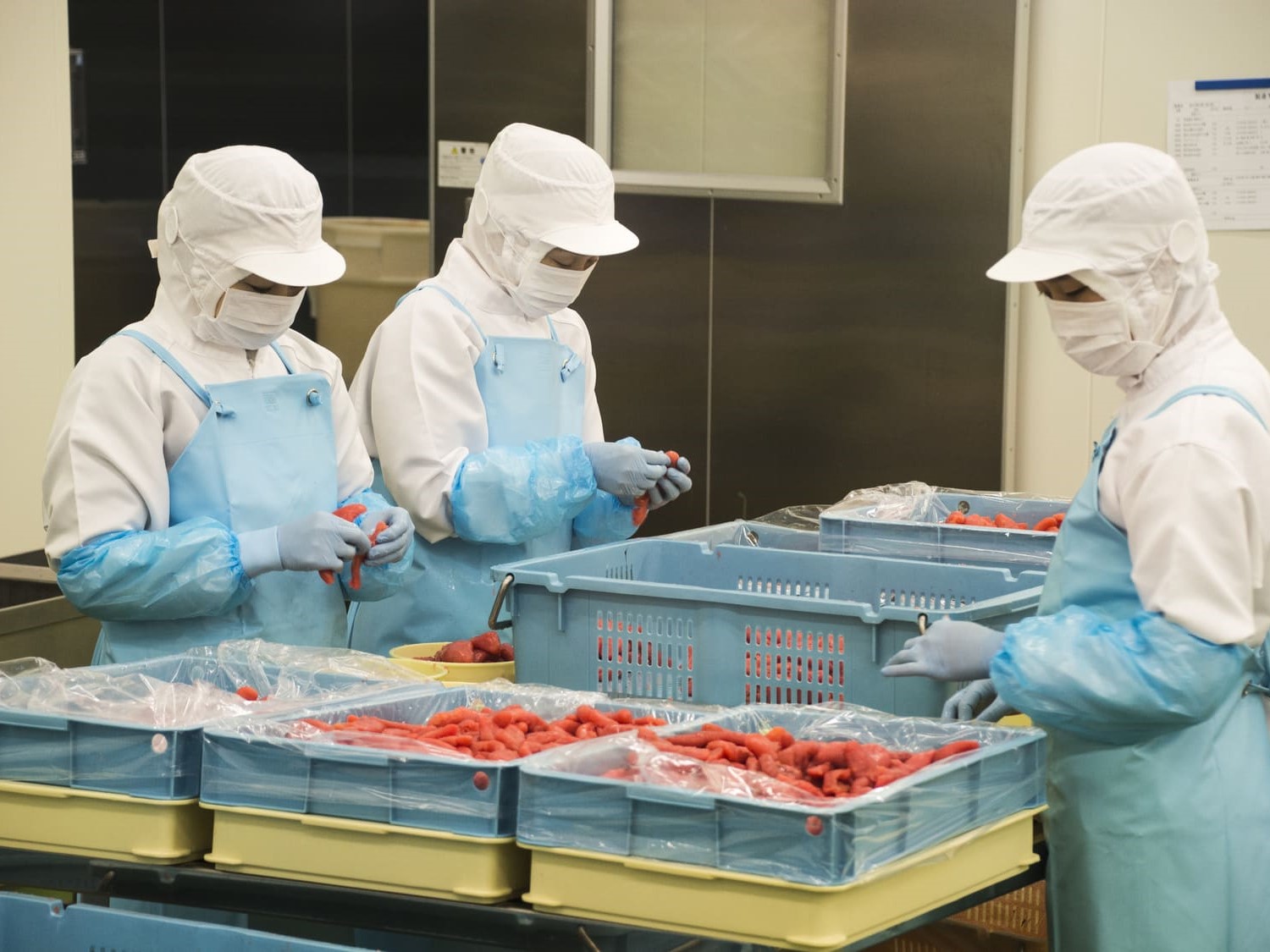 食堂の調理スタッフ | 株式会社 タクスイの求人