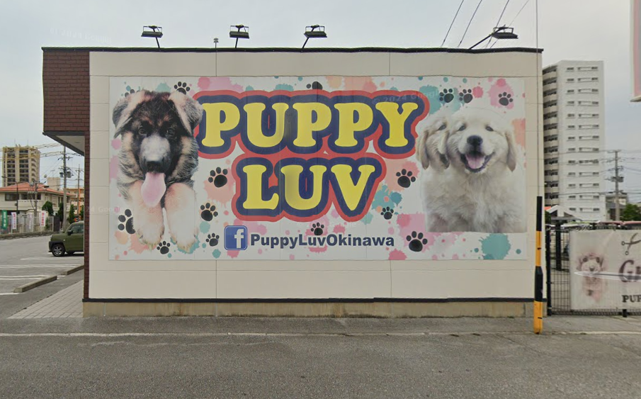 コナウィンズクラブ メイン画像-1