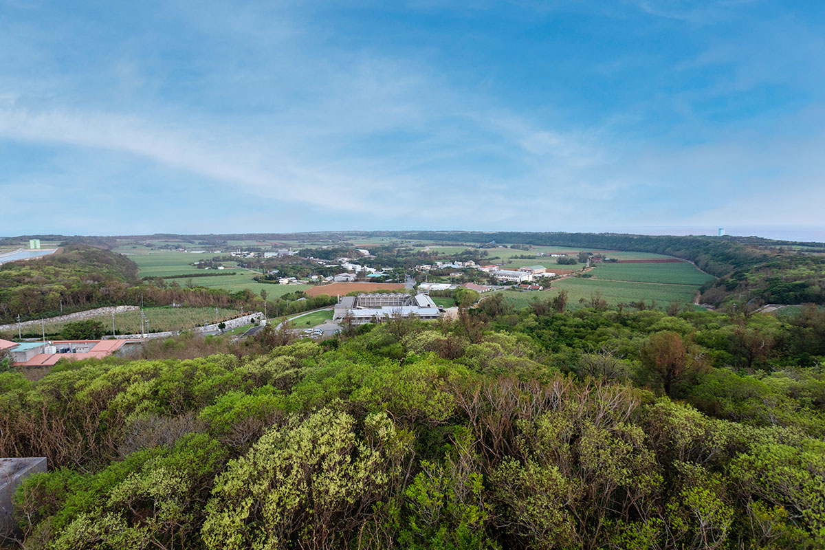 工場内作業員(工場工員・重機運転手・原料運搬・その他)全個室寮完備の住み込みスタッフ募集となります | 北大東製糖 株式会社の求人