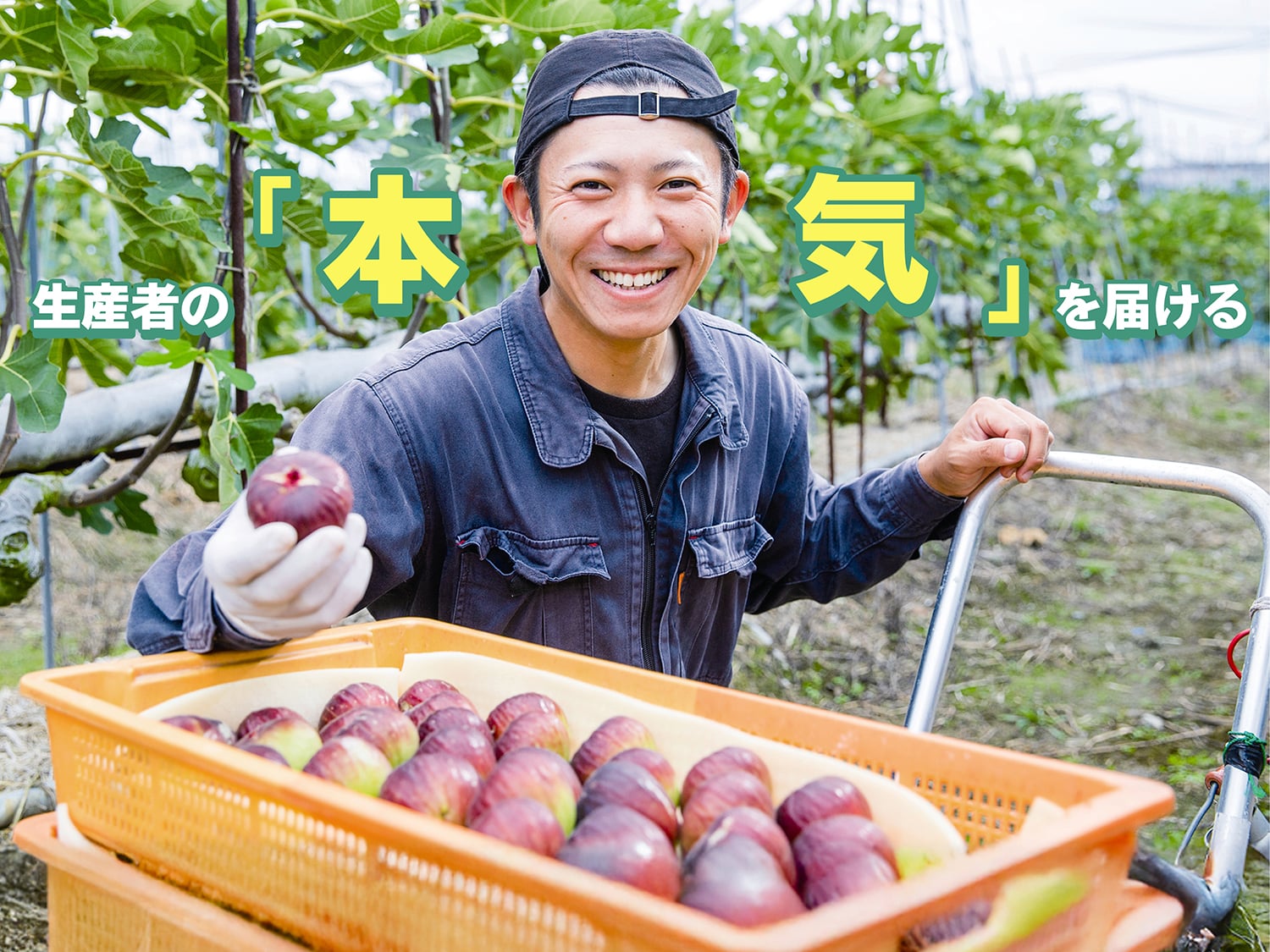 出荷スタッフ兼一部配送(未経験者大歓迎) | 株式会社 フレッシュ青果 沖縄営業所の求人