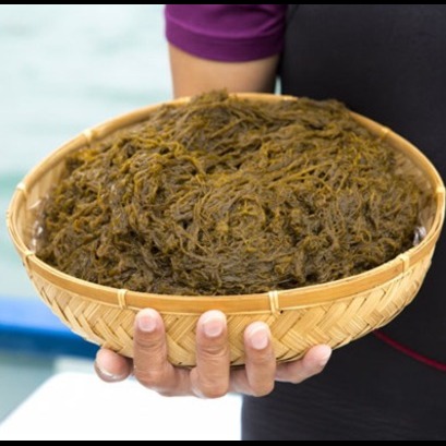 勝連漁業協同組合 ロゴ画像