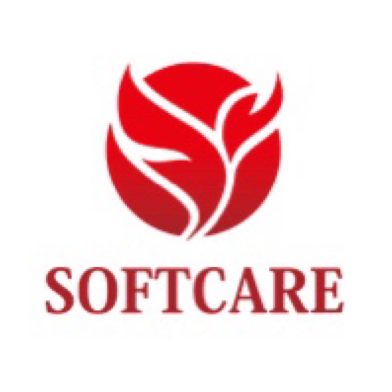 ソフトケア沖縄株式会社 ロゴ画像