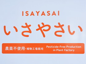 いさやさい ロゴ画像