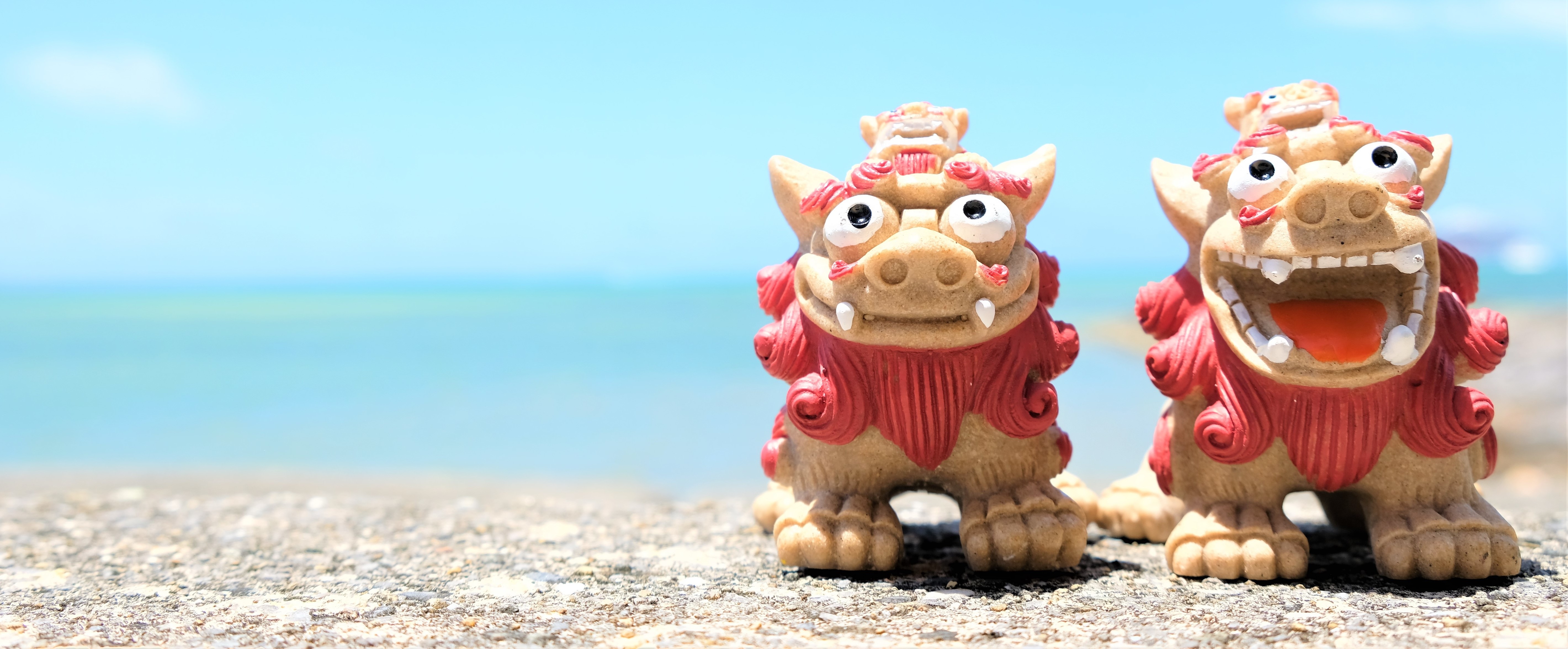 有限会社ミツバ