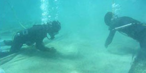 勝連漁業協同組合