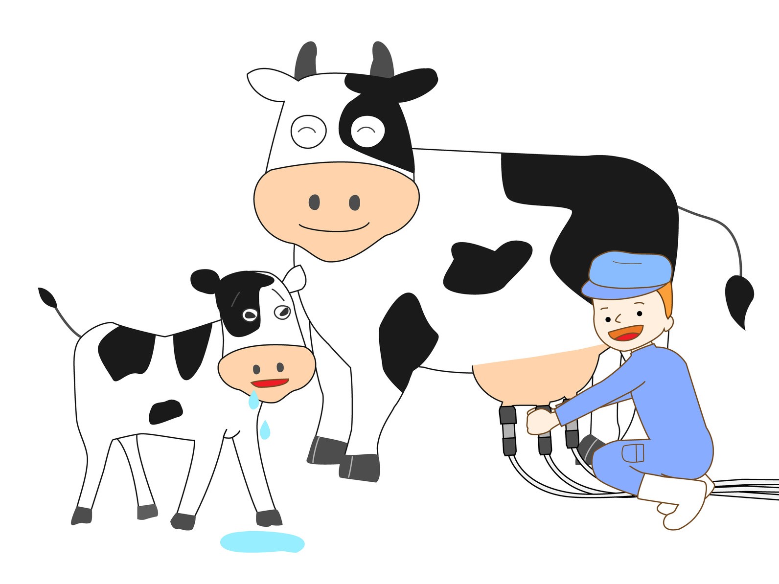 株式会社 高宮城牧場