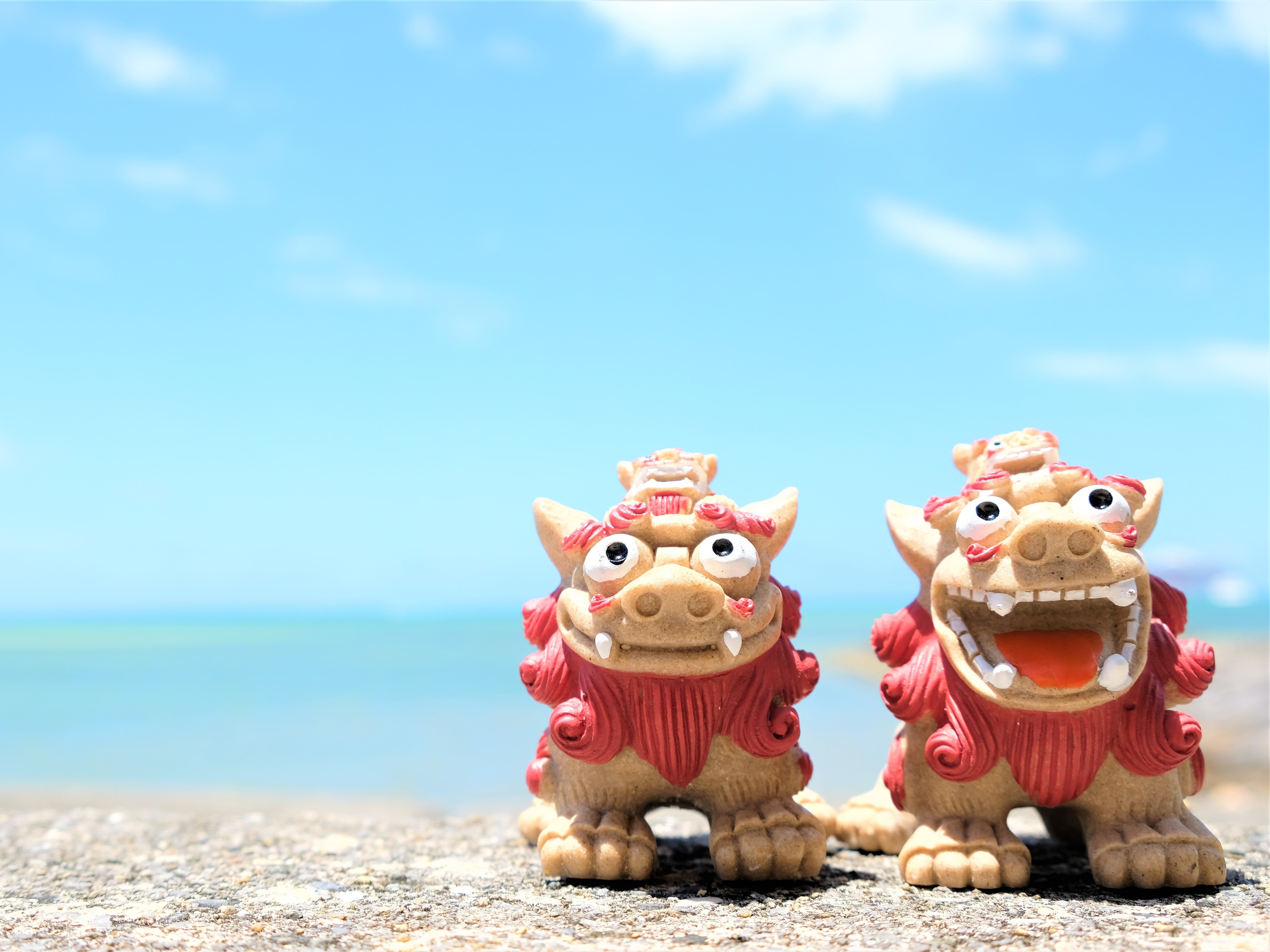 中部システムサポート株式会社