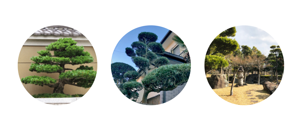 有限会社 繁樹園