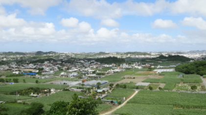 有限会社 みどり食品