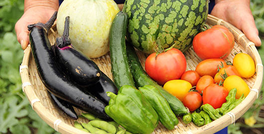 JAおきなわ南部地区営農振興センター