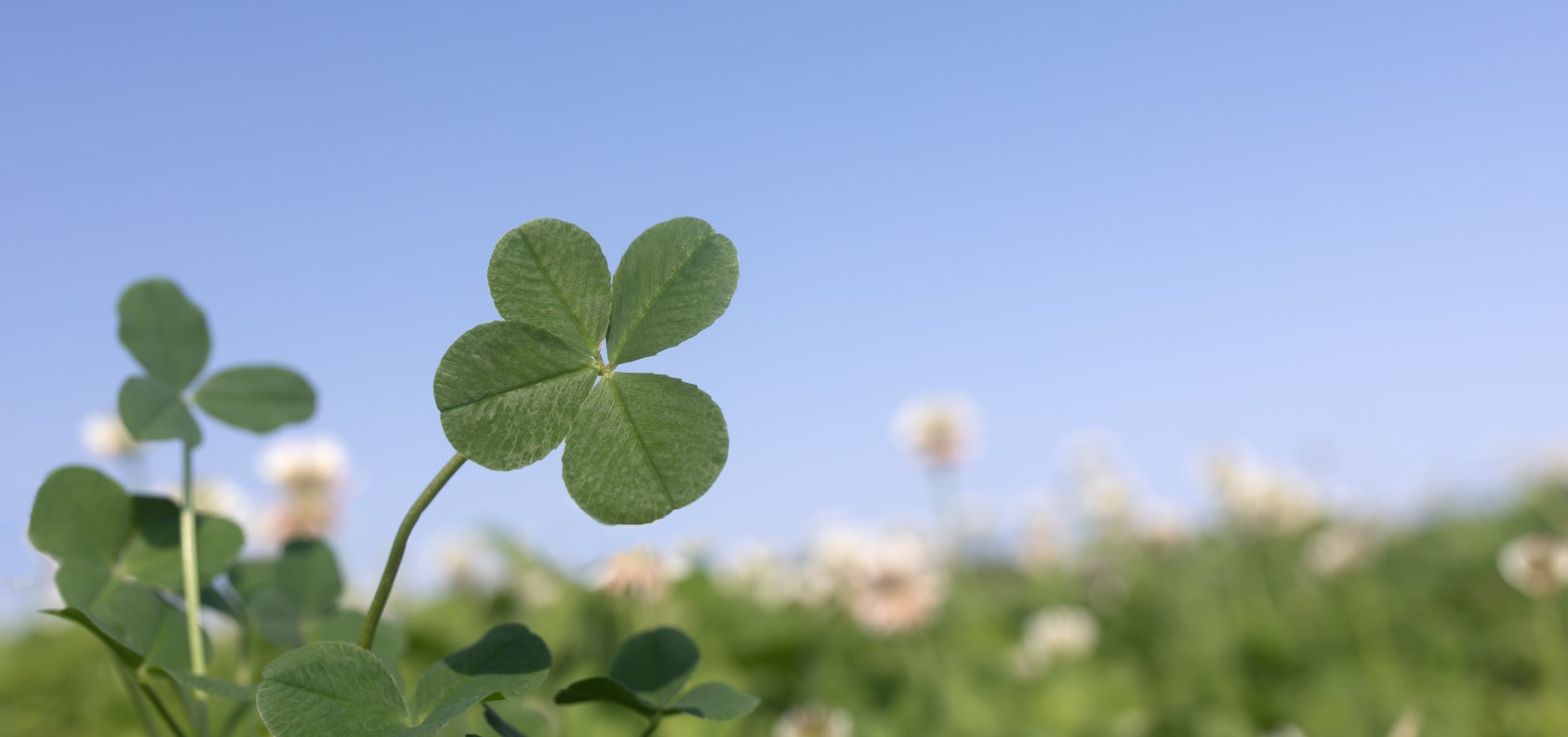 けん歯科クリニック