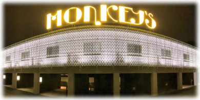 MONKEYS HOTEL