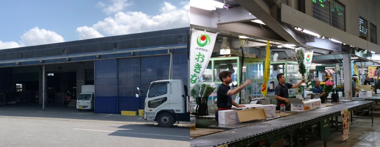 沖縄県くみあい生花 (株)