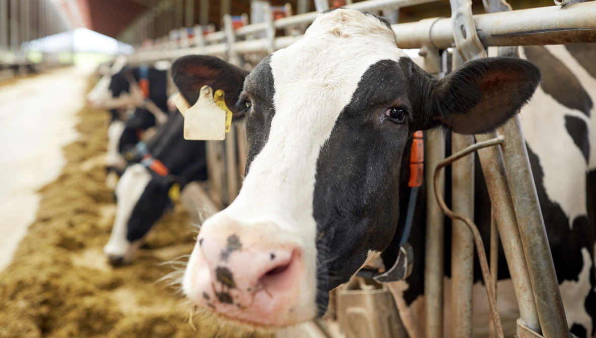 有限会社 大英産業