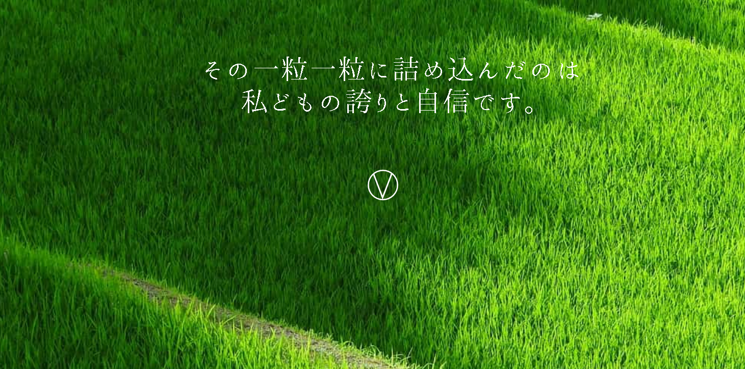 株式会社みやび 沖縄支社