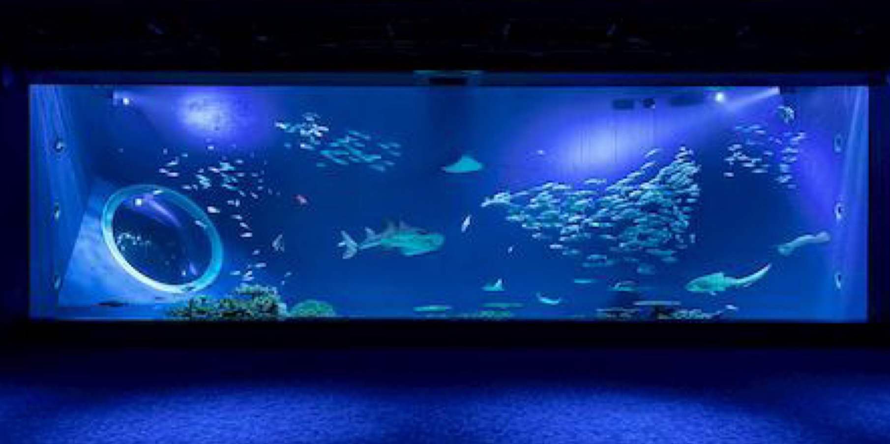 DMMかりゆし水族館