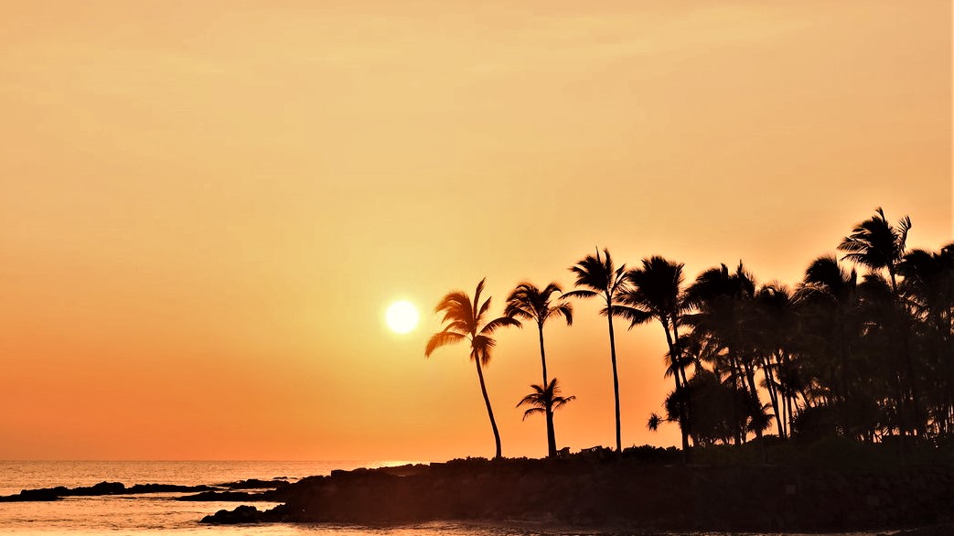 SURF ART GALLERY by LANIKAI