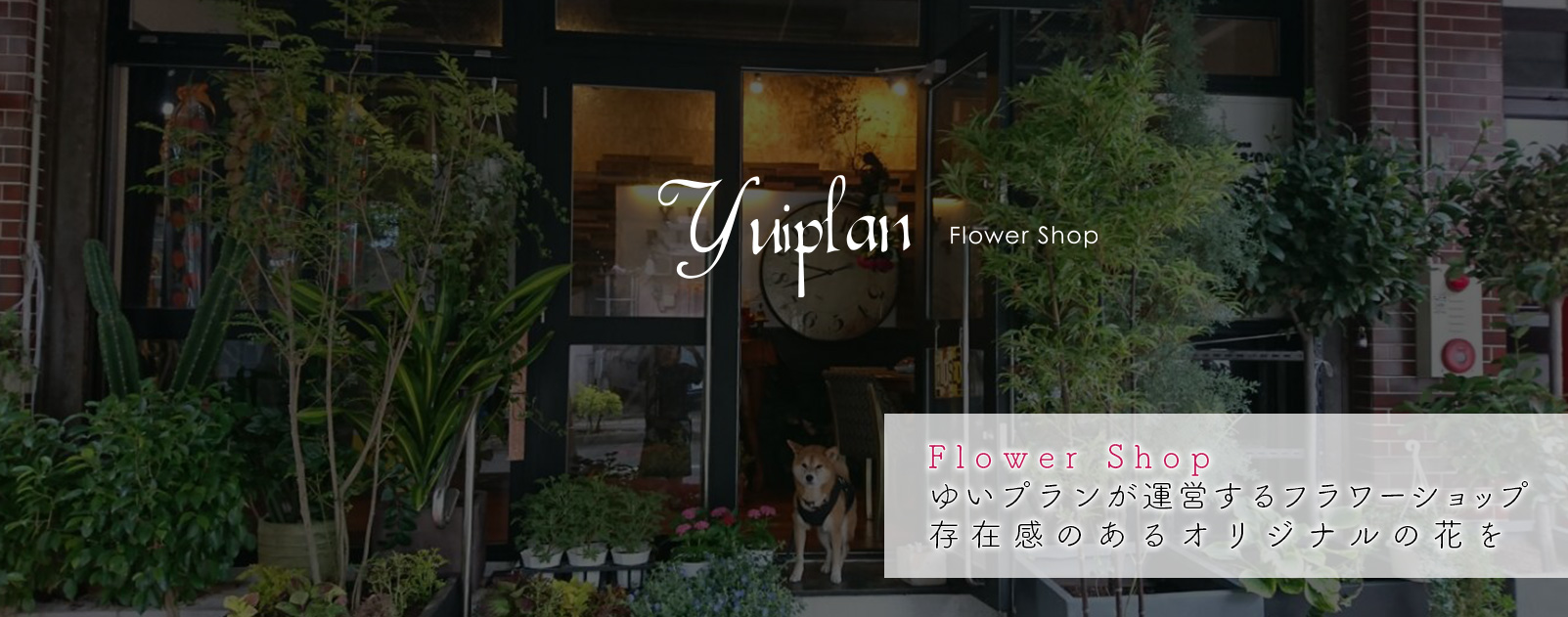 株式会社 ゆいプラン