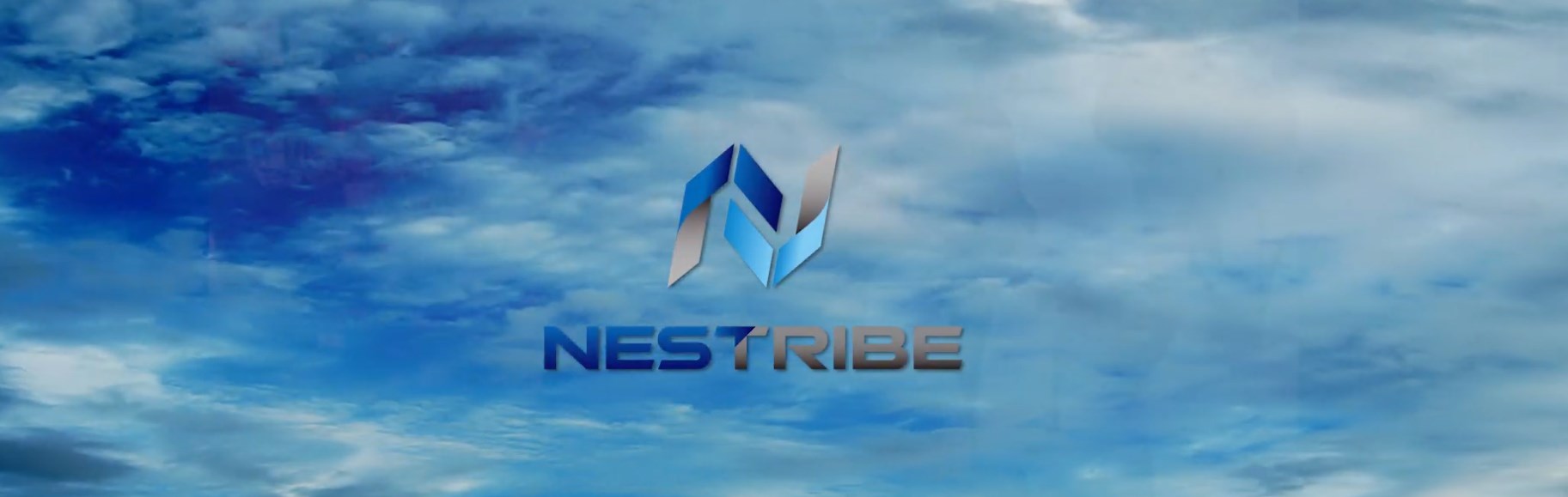 ネストライブ株式会社