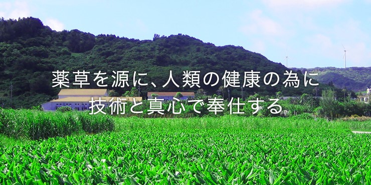 有限会社 沖縄長生薬草本社