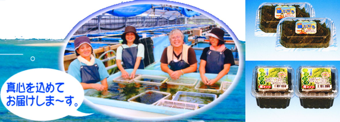 有限会社 ティ・エム・センター