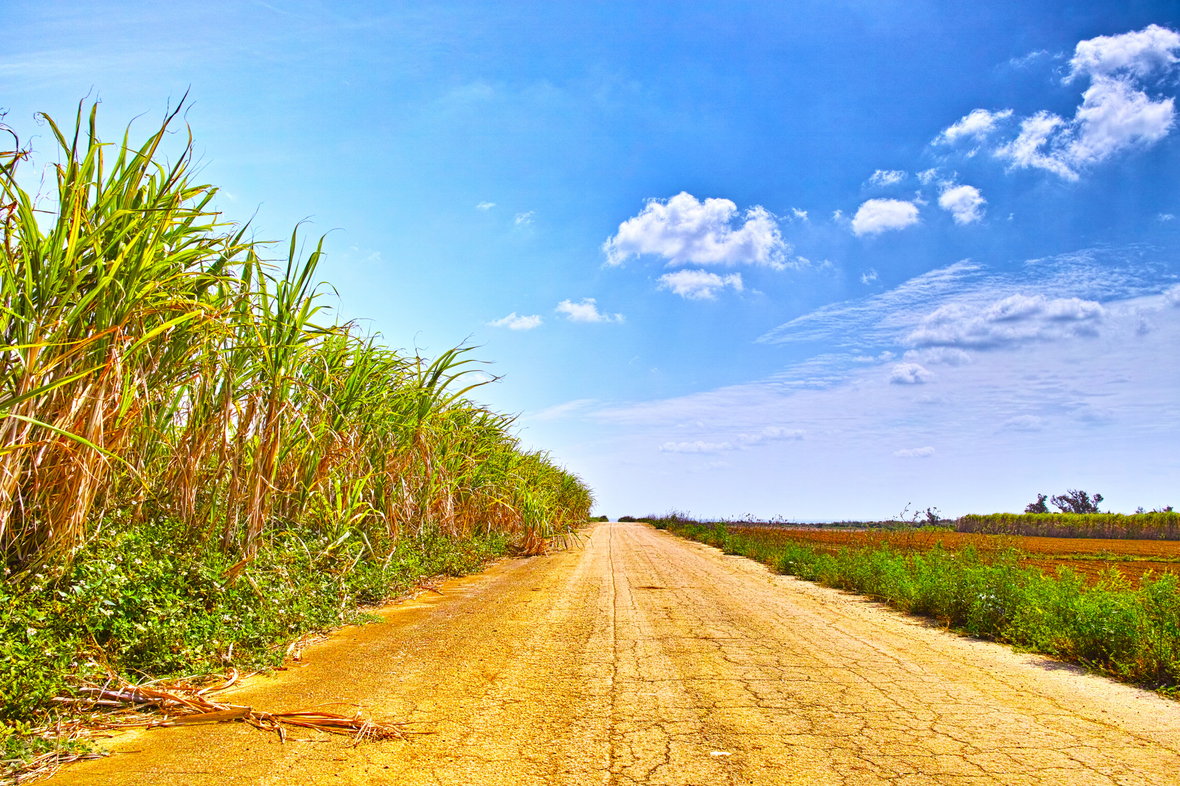 農業生産法人　八城ファーム合同会社