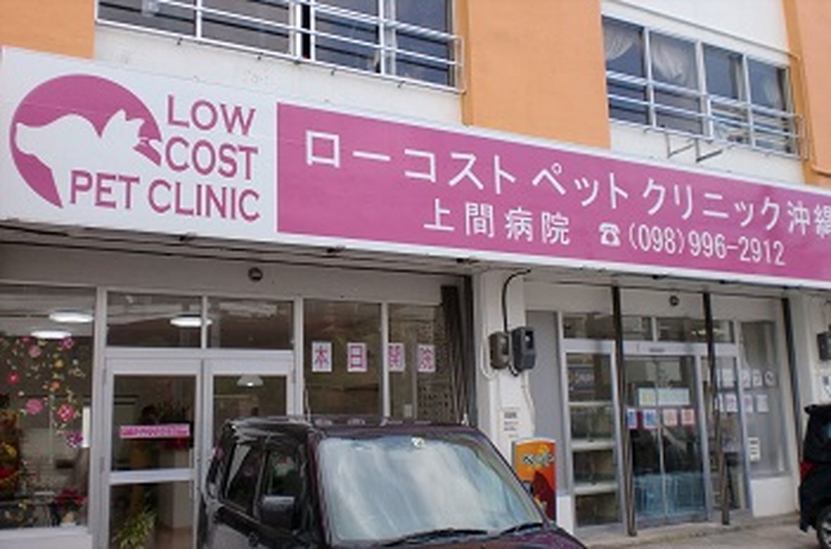 ローコストペットクリニック沖縄上間