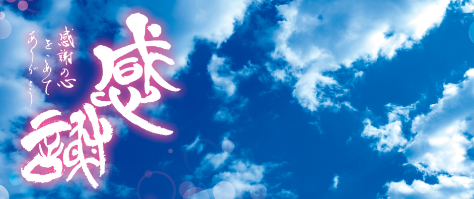 有限会社 総合企画 和光