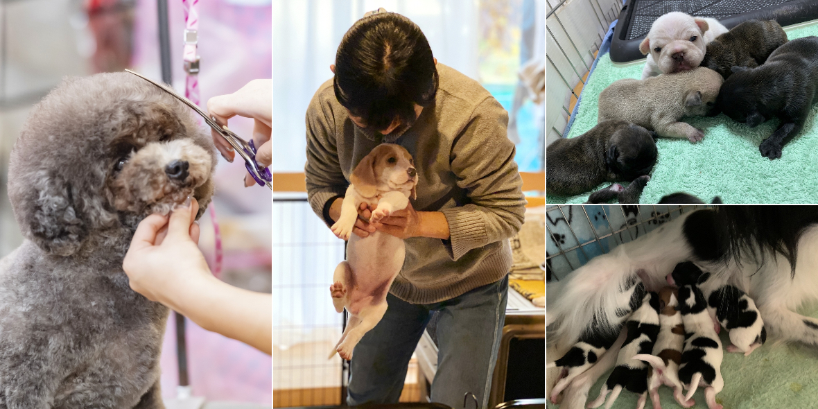 リレイションフィールド