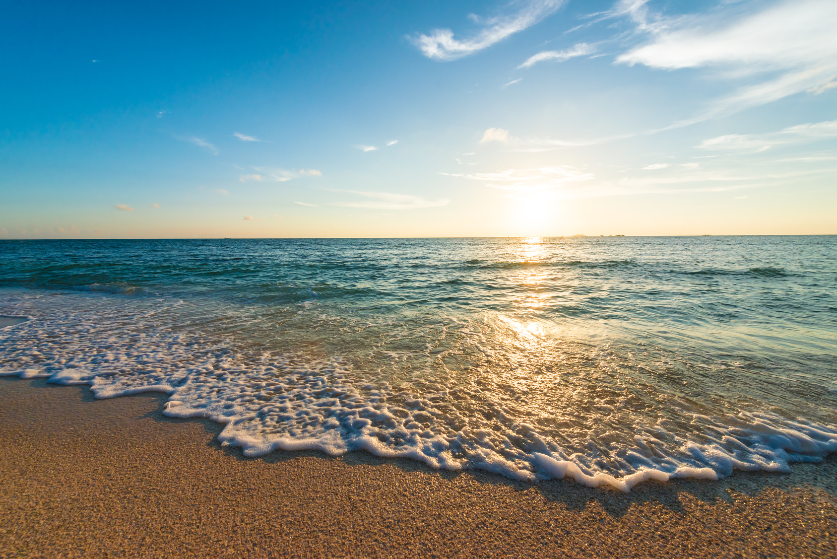 有限会社 神中組