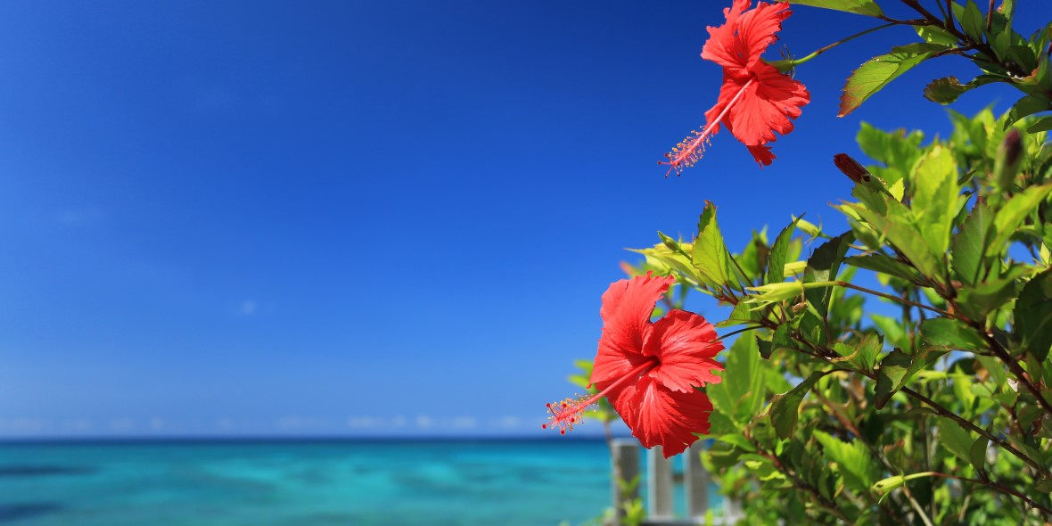 沖縄県市町村職員共済組合