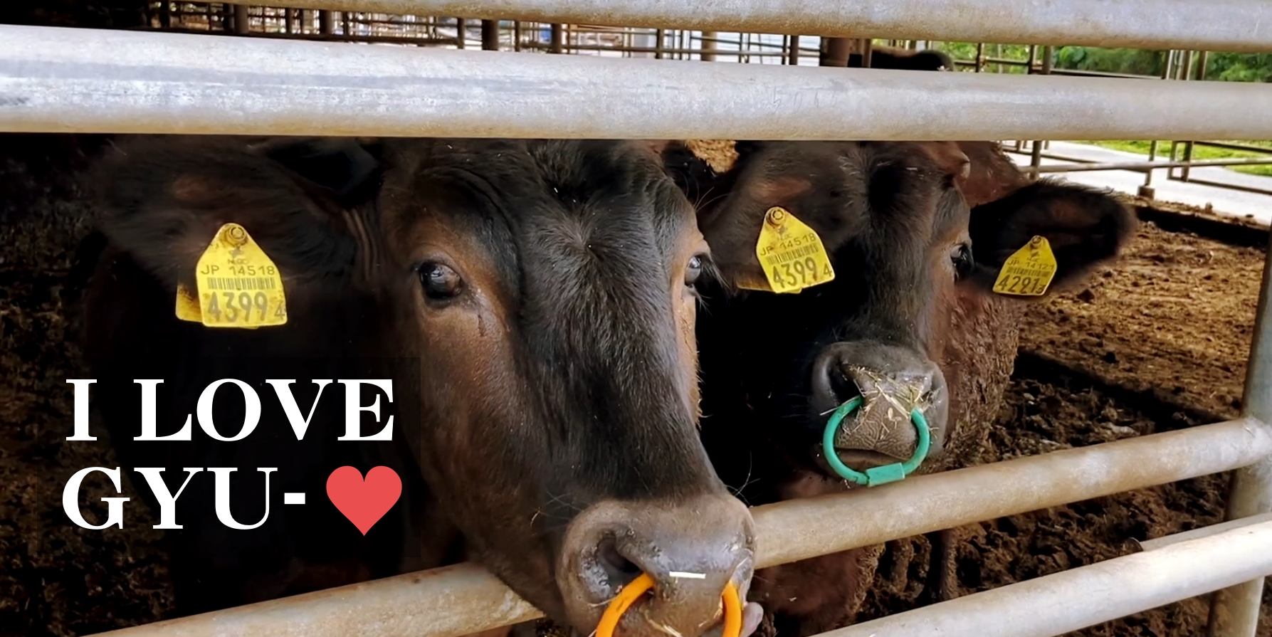 農業生産法人　株式会社八風畑