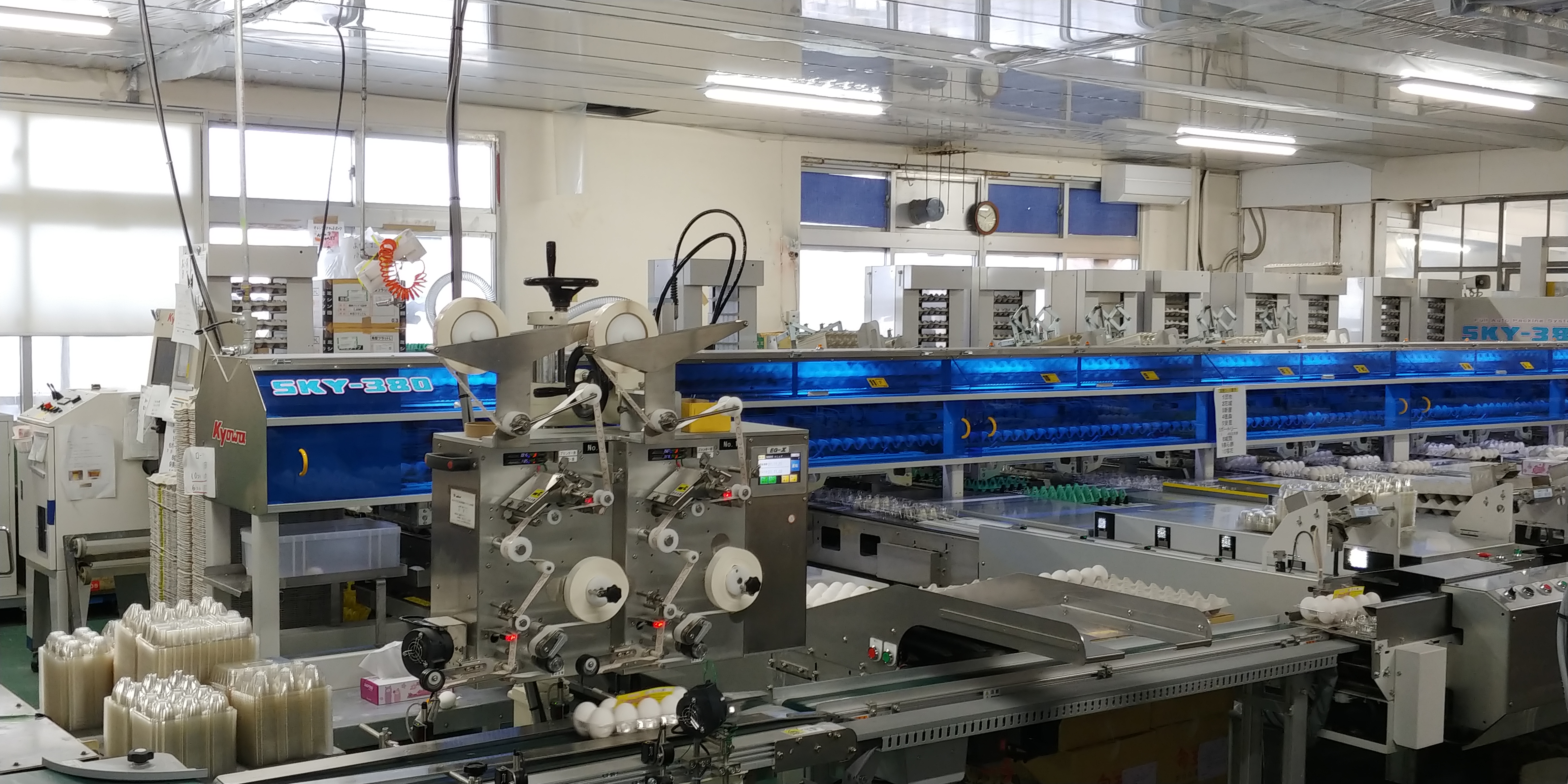 琉球飼料株式会社