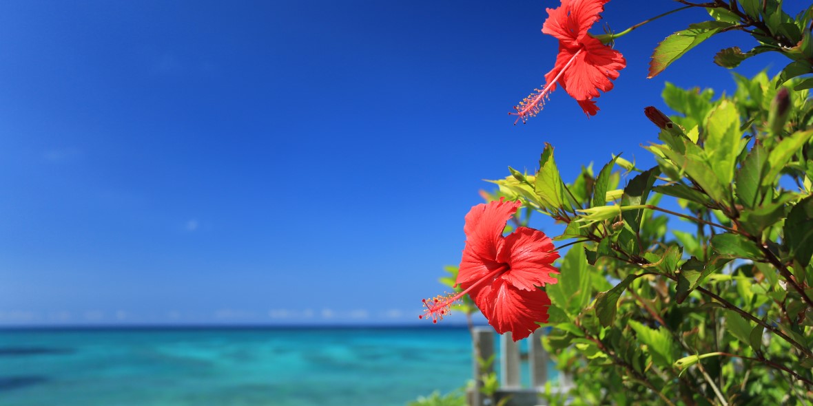 株式会社 りゅうせき建設