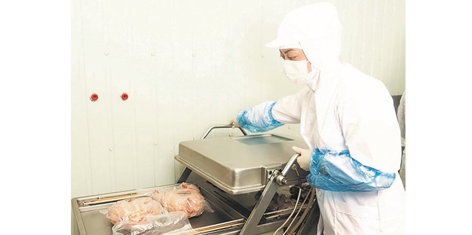 ザイ・オキナワ有限会社