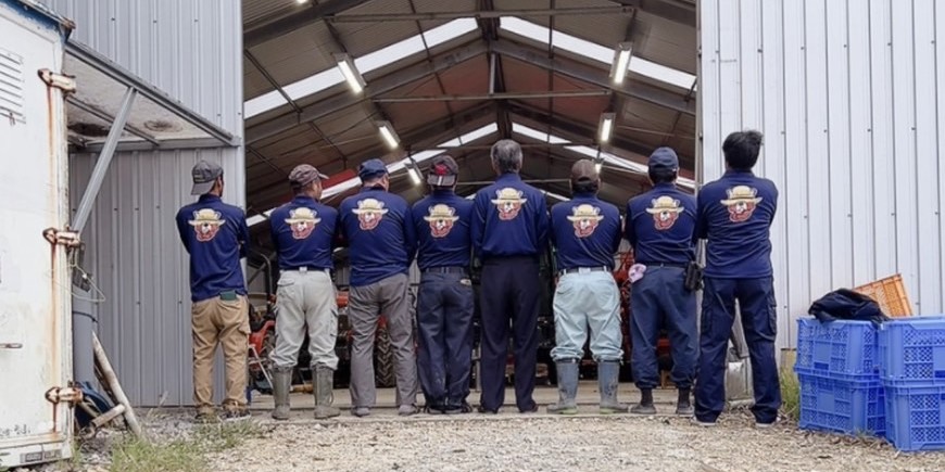 農業生産法人　有限会社大農ファーム