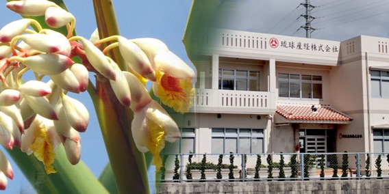 琉球産経株式会社