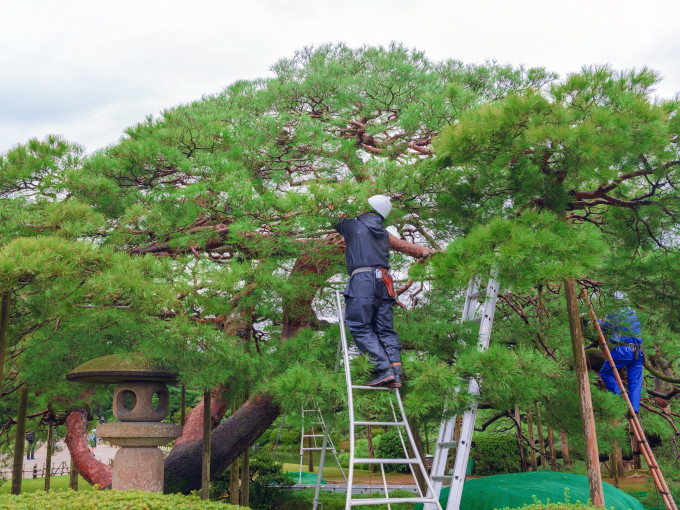 株式会社 ランドスケープ