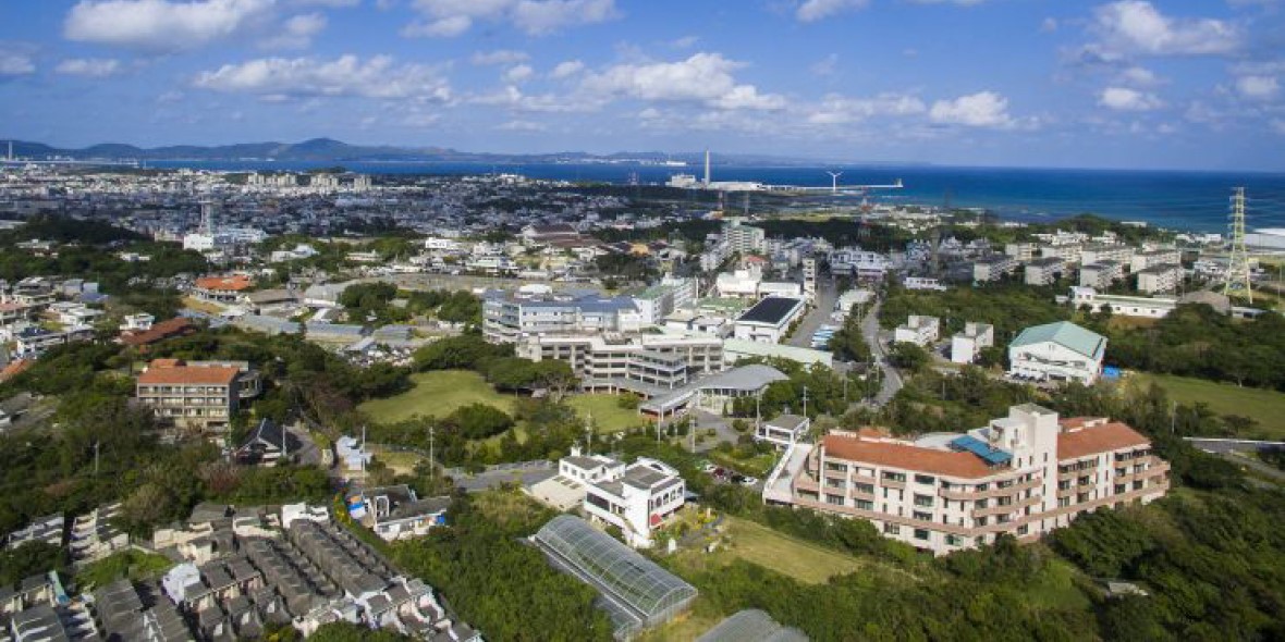 医療法人社団志誠会(平和病院/介護老人保健施設 陽光館/障がい福祉サービス事業所