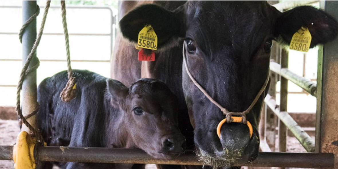 株式会社 フードサービスもとぶ 浦添事務所