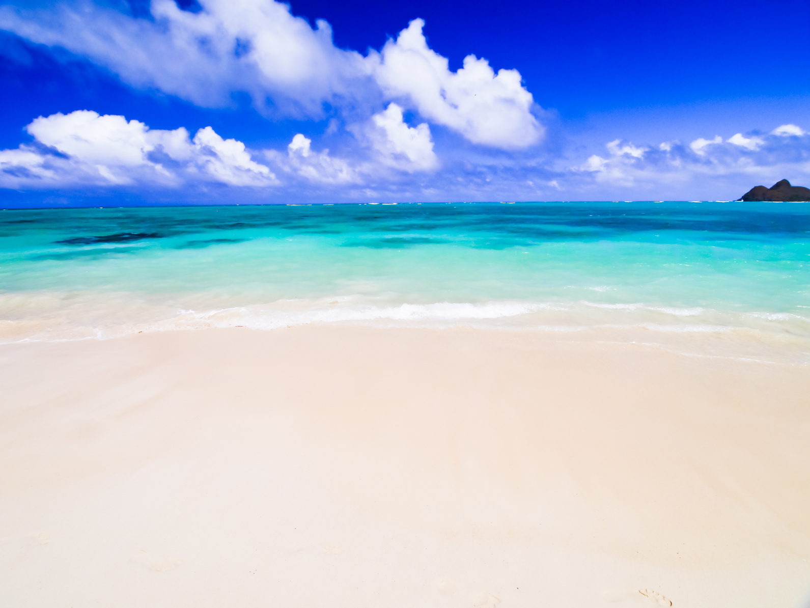 有限会社 かねお水産