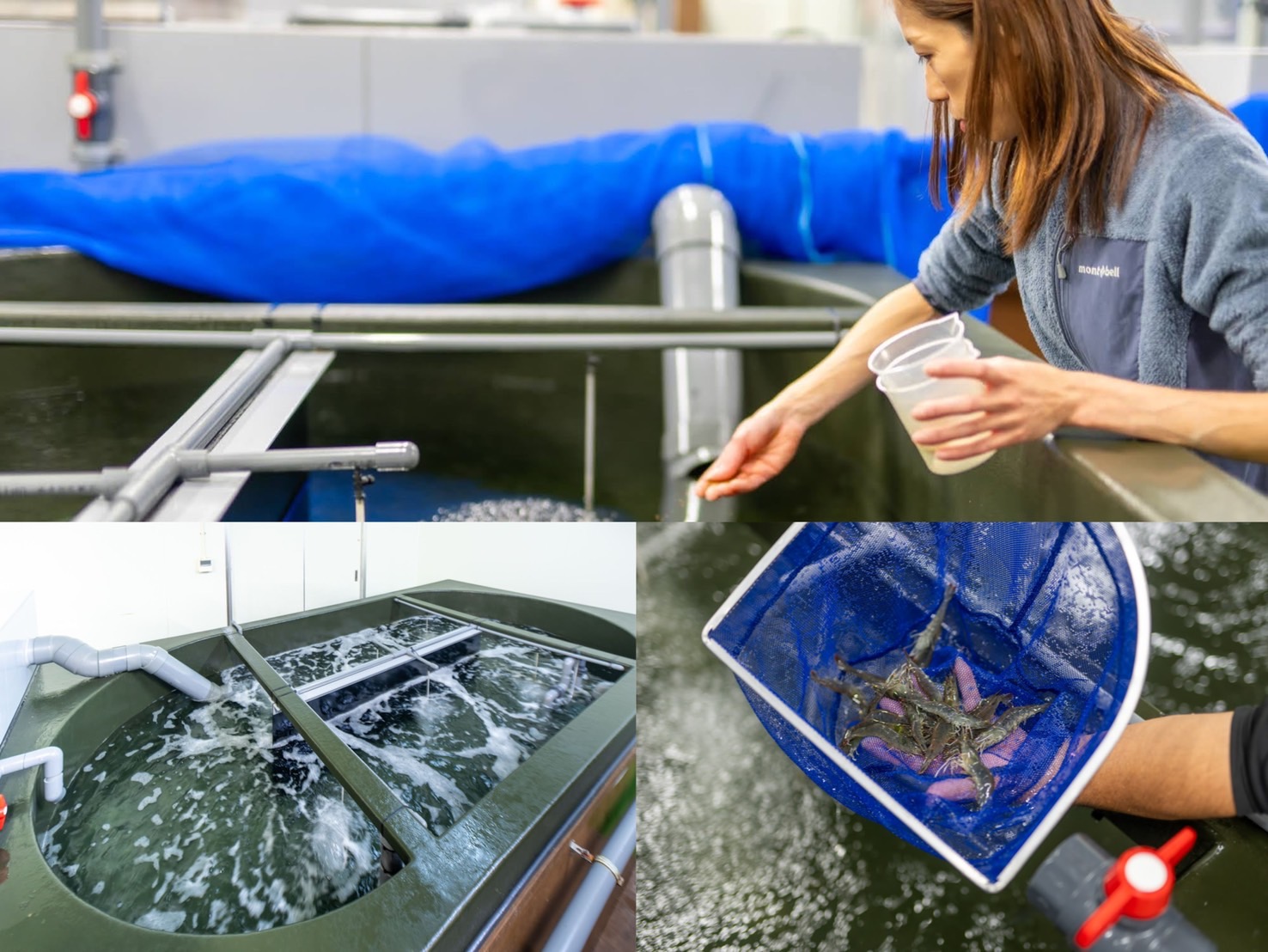 株式会社琉球キッカワ.G