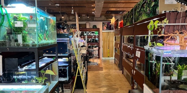 有限会社アクアプランニング　沖縄水族館