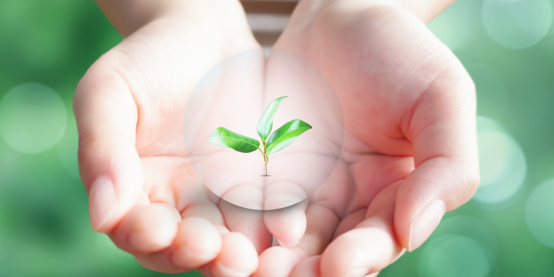 買いクル　沖縄店