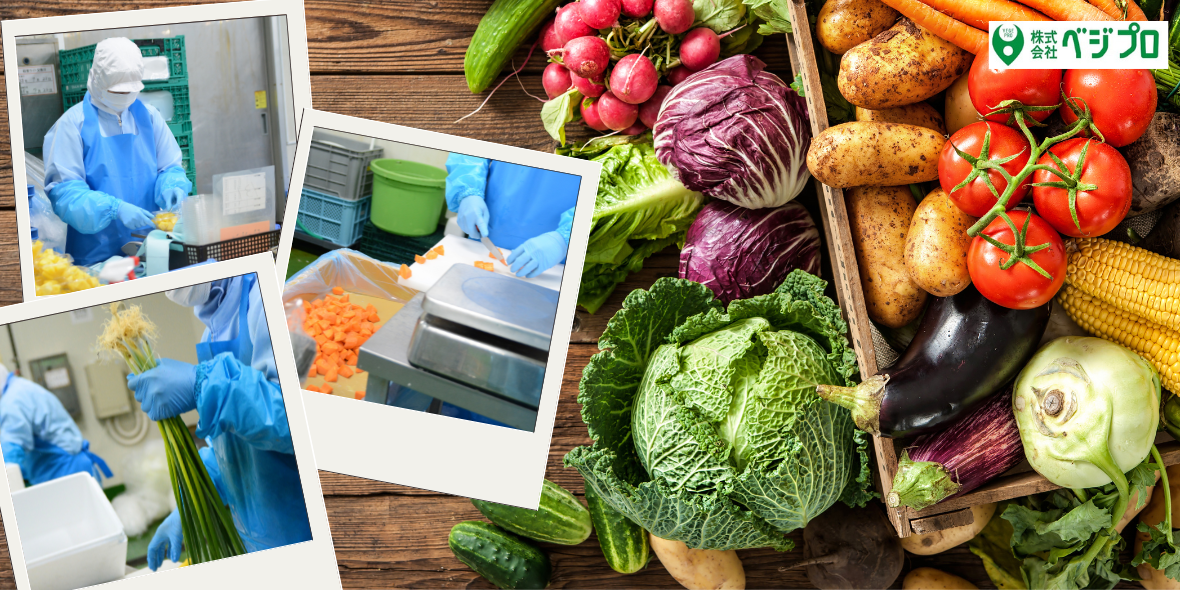 株式会社べジプロ 沖縄営業所